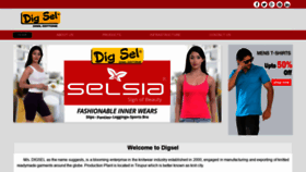 What Digsel.com website looked like in 2020 (3 years ago)