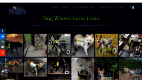 What Dogwheelchairsindia.com website looked like in 2020 (3 years ago)