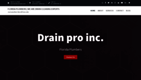 What Drainproinc.com website looked like in 2020 (3 years ago)