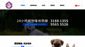What Dfgp.com.hk website looked like in 2020 (3 years ago)