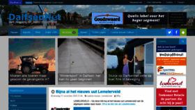 What Dalfsennet.nl website looked like in 2020 (3 years ago)