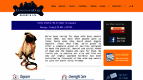 What Downtowndogs.com website looked like in 2020 (3 years ago)