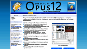 What Dopus.com website looked like in 2020 (3 years ago)