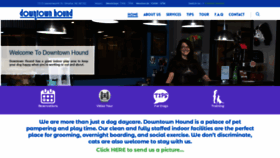 What Dthound.com website looked like in 2020 (3 years ago)