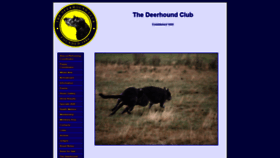 What Deerhound.co.uk website looked like in 2020 (5 years ago)