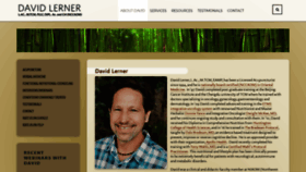 What David-lerner.com website looked like in 2021 (3 years ago)