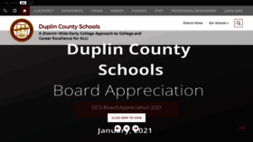 What Duplinschools.net website looked like in 2021 (3 years ago)