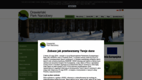 What Dpn.pl website looked like in 2021 (3 years ago)