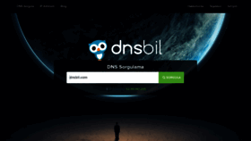 What Dnsbil.com website looked like in 2021 (3 years ago)