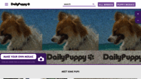 What Dailypuppy.com website looked like in 2021 (3 years ago)