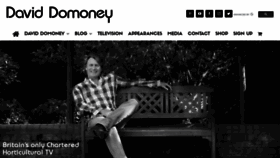 What Daviddomoney.com website looked like in 2021 (3 years ago)