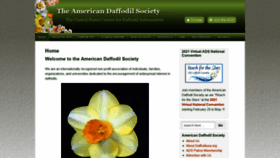What Daffodilusa.org website looked like in 2021 (3 years ago)