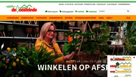 What Deoosteinde.nl website looked like in 2021 (3 years ago)