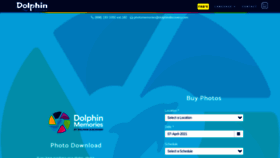 What Dolphindiscoverymemories.com website looked like in 2021 (3 years ago)