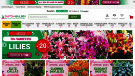 What Dutch-bulbs.com website looked like in 2021 (2 years ago)