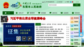 What Dg.gov.cn website looked like in 2021 (4 years ago)