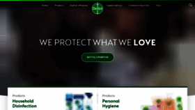 What Dettol.co.uk website looked like in 2021 (2 years ago)