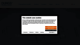 What Dungs.com website looked like in 2021 (2 years ago)
