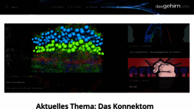 What Dasgehirn.info website looked like in 2021 (2 years ago)
