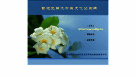 What Dfg.cn website looked like in 2021 (2 years ago)