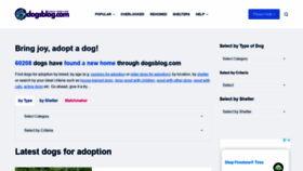 What Dogsblog.com website looked like in 2021 (2 years ago)