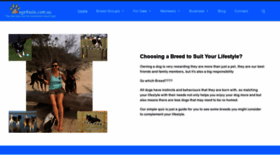 What Dogs4sale.com.au website looked like in 2021 (2 years ago)