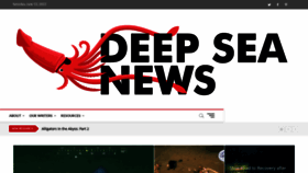 What Deepseanews.com website looked like in 2021 (2 years ago)