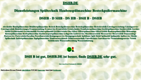 What Dshb.de website looked like in 2021 (2 years ago)