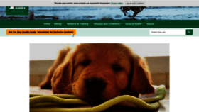 What Dog-health-guide.org website looked like in 2021 (2 years ago)