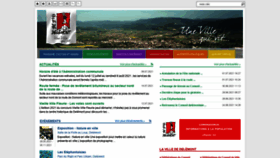 What Delemont.ch website looked like in 2021 (2 years ago)