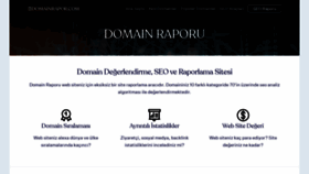 What Domainrapor.com website looked like in 2021 (2 years ago)