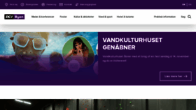 What Dgibyen.dk website looked like in 2021 (2 years ago)