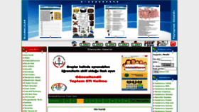 What Dersimizdin.org website looked like in 2021 (2 years ago)