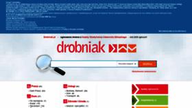 What Drobniak.pl website looked like in 2021 (2 years ago)