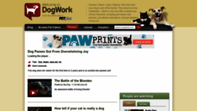 What Dogwork.com website looked like in 2021 (2 years ago)
