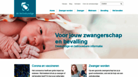 What Deverloskundige.nl website looked like in 2021 (2 years ago)