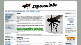 What Diptera.info website looked like in 2021 (2 years ago)