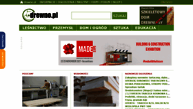 What Drewno.pl website looked like in 2021 (2 years ago)
