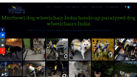 What Dogwheelchairsindia.com website looked like in 2021 (2 years ago)