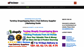 What Dropshippinghelps.com website looked like in 2022 (2 years ago)