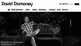 What Daviddomoney.com website looked like in 2022 (2 years ago)