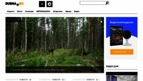 What Dubna.ru website looked like in 2022 (1 year ago)