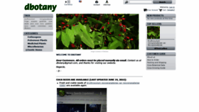 What Dbotany.com website looked like in 2022 (1 year ago)
