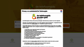 What Detelefoongids.nl website looked like in 2022 (1 year ago)