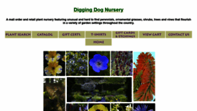 What Diggingdog.com website looked like in 2022 (1 year ago)
