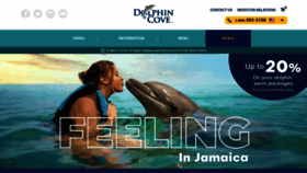 What Dolphincoveja.com website looked like in 2022 (1 year ago)