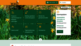 What Debilt.nl website looked like in 2022 (1 year ago)