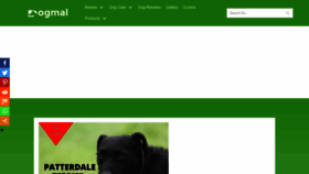 What Dogmal.com website looked like in 2022 (1 year ago)