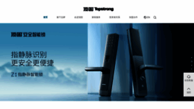 What Dinggu.net website looked like in 2022 (1 year ago)