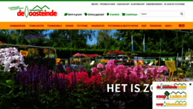 What Deoosteinde.nl website looked like in 2022 (1 year ago)